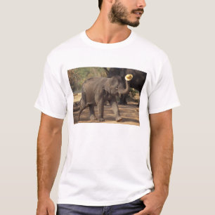 Azië, Thailand, Lampang Bowing met pet - Thai T-shirt