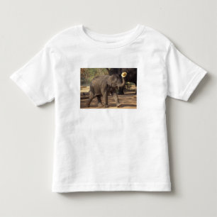 Azië, Thailand, Lampang Buigen met hoed - Thais Kinder Shirts