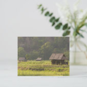 Azië, Thailand, Mae Hong Son, rijsthutten in de VS Briefkaart (Staand voorkant)