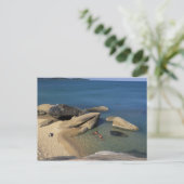 Azië, Thailand, Samui. Strand Briefkaart (Staand voorkant)