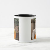 Azië, Thailand, Siam, Boeddha in Ayutthaya Mok (Midden)