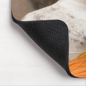 Azië, Thailand, Siam, Boeddha in Ayutthaya Muismat (Hoek)