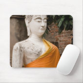 Azië, Thailand, Siam, Boeddha in Ayutthaya Muismat (Met muis)