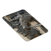 Azië, Vietnam. Cellen en standbeelden Magneet (Rechterzijde)