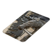 Azië, Vietnam. Cellen en standbeelden Magneet (Linkerzijde)