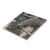 Azië, Vietnam. Cellen en standbeelden van paarden Tegeltje (Zijkant)