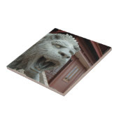 Azië, Vietnam. Lionbeeldhouwwerk in Chau Doc Tegeltje (Zijkant)