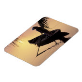 Azië, Vietnam, Mekong Delta, kan dat. Avond Magneet (Linkerzijde)