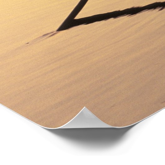 Azië, Vietnam, Mekong Delta, kan dat. Avond Poster (Hoek)