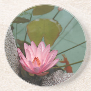 Azië, Vietnam. Waterlelie in een tempelvijver Zandsteen Onderzetter