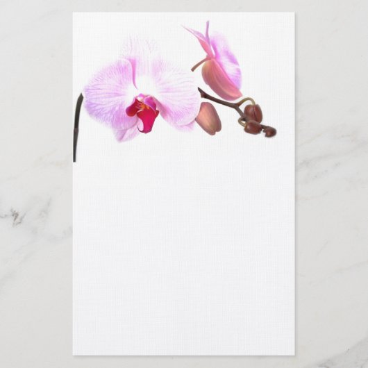 Aziza Orchid Blossom Briefpapier (Voorkant)