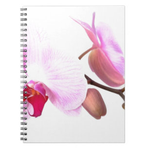 Aziza Orchid Blossom Notitieboek