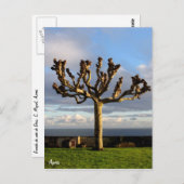 Azoren Briefkaart-Ermida da mae de Deus Briefkaart (Voorkant / Achterkant)