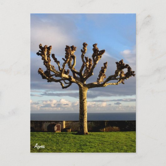 Azoren Briefkaart-Ermida da mae de Deus Briefkaart (Voorkant)