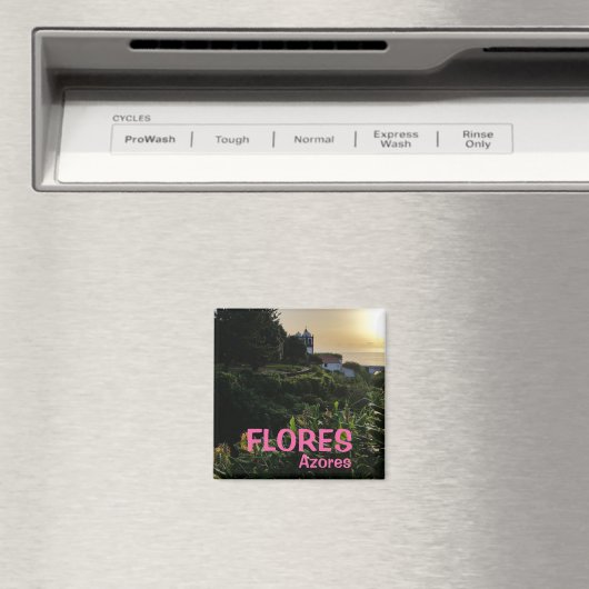 Azoren: Flores Panoramic Kitchen Magnet (Insitu (Vaatwasser))