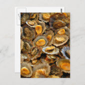 Azoren limpets "lapas" briefkaart (Voorkant / Achterkant)