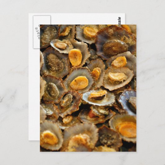 Azoren limpets "lapas" briefkaart (Voorkant / Achterkant)