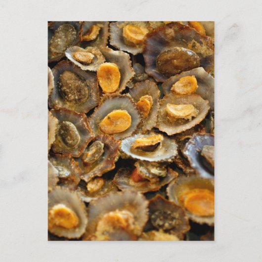 Azoren limpets "lapas" briefkaart (Voorkant)