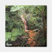 Azoren magneet - Caldeira Velha (Voorkant)