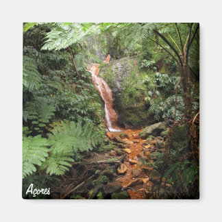 Azoren magneet - Caldeira Velha