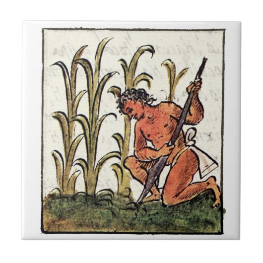 Aztec Farmer die maïs teelt Tegeltje (Voorkant)