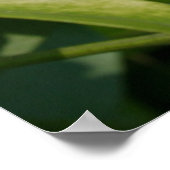 Aztec Pearl Poster (Hoek)