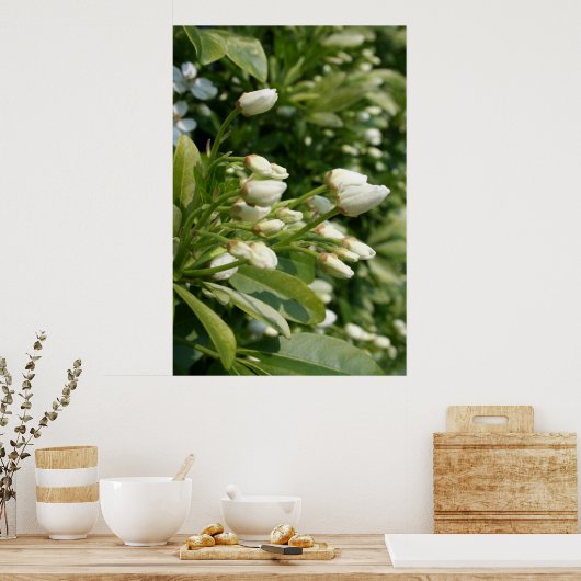 Aztec Pearl Poster (Keuken)