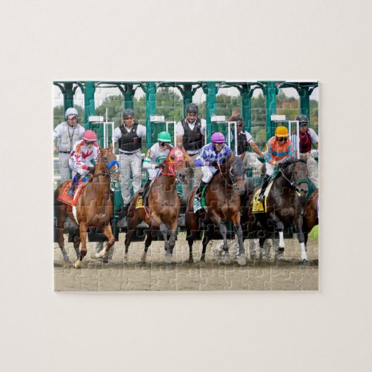 Aztec Sense (6) Gezameld (7) Hempt (9) Legpuzzel (Horizontaal)