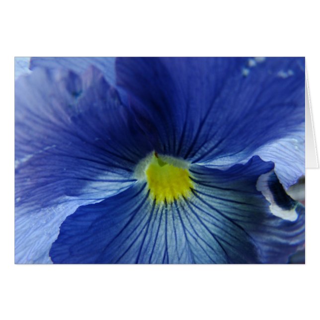 Azul (Voorkant Horizontaal)