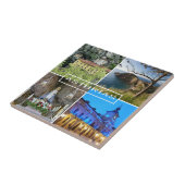 azulejo Principado de Asturias en España - Spain Tegeltje (Zijkant)