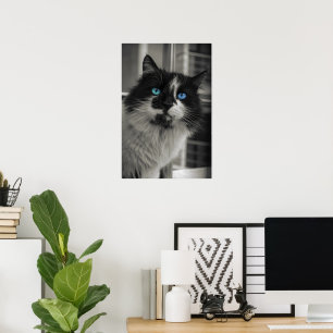 Azurblauwe ziel zwart-wit kat fijne kunst poster