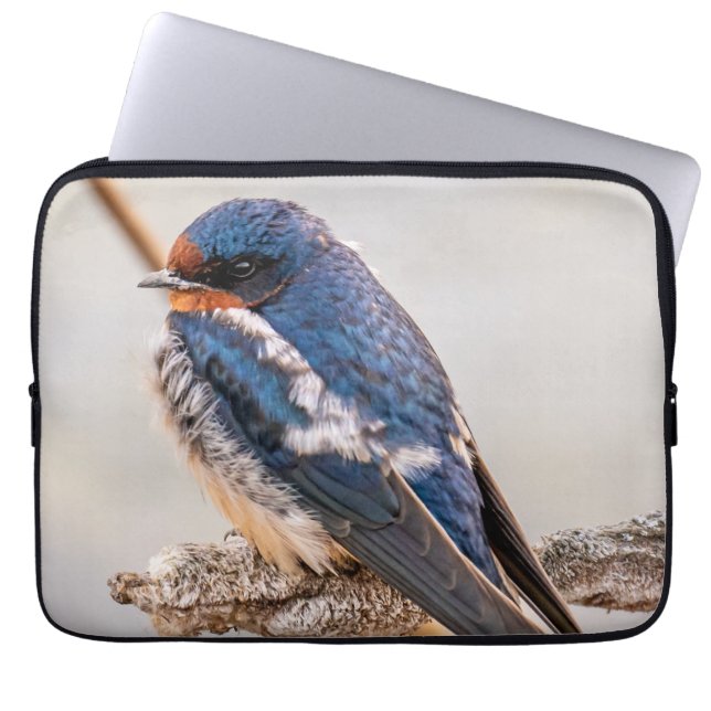 Azure Avian: Boerenzwaluw Canadese wilde vogel Laptop Sleeve (Voorkant)