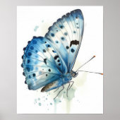 Azure Butterfly Art Print Poster (Voorkant)