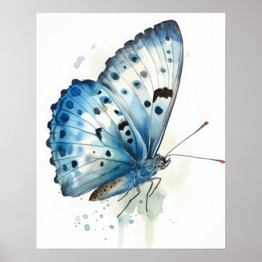 Azure Butterfly Art Print Poster (Voorkant)