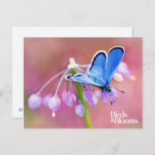 Azure Butterfly Briefkaart (Voorkant / Achterkant)