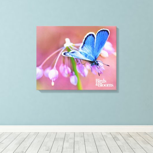 Azure Butterfly Canvas Afdruk (Insitu (Houten vloer))