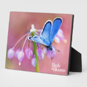 Azure Butterfly Fotoplaat (Zijkant)