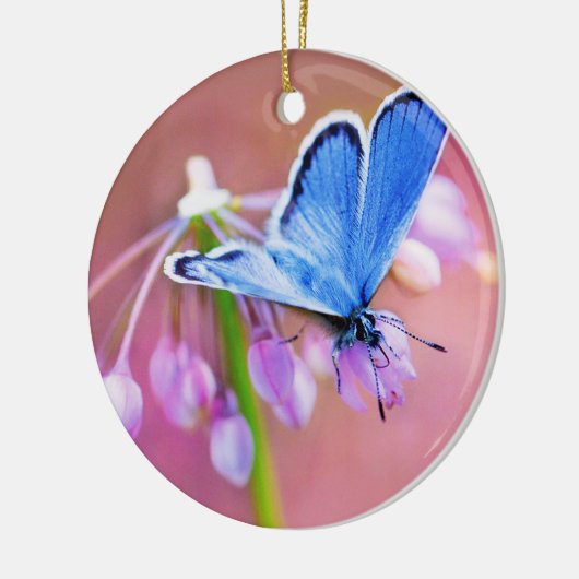 Azure Butterfly Keramisch Ornament (Links)