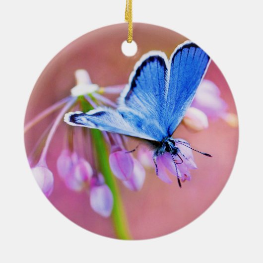 Azure Butterfly Keramisch Ornament (Achterkant)