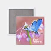 Azure Butterfly Magneet (Voorkant / Achterkant)