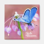 Azure Butterfly Magneet (Voorkant)