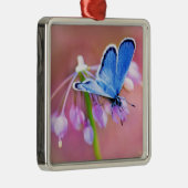 Azure Butterfly Metalen Ornament (Rechts)