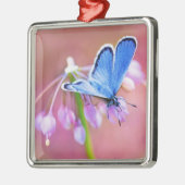Azure Butterfly Metalen Ornament (Links)