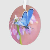 Azure Butterfly Ornament (voorkant)