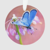 Azure Butterfly Ornament (voorkant)