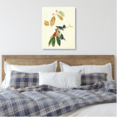Azure (Cerulean) Warbler, Audubon Birds of America Canvas Afdruk (Insitu (Slaapkamer))