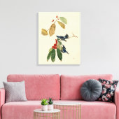 Azure (Cerulean) Warbler, Audubon Birds of America Canvas Afdruk (Insitu (Woonkamer))