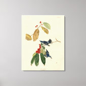 Azure (Cerulean) Warbler, Audubon Birds of America Canvas Afdruk (Voorkant)