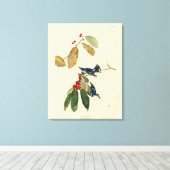 Azure (Cerulean) Warbler, Audubon Birds of America Canvas Afdruk (Insitu (Houten vloer))