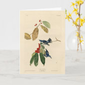 Azure (Cerulean) Warbler, Audubon Birds of America Kaart (Gele Bloem)